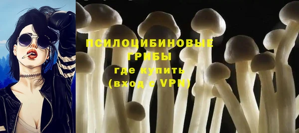 герыч Арсеньев