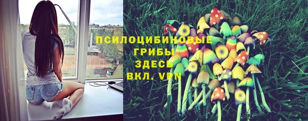 СК Аркадак
