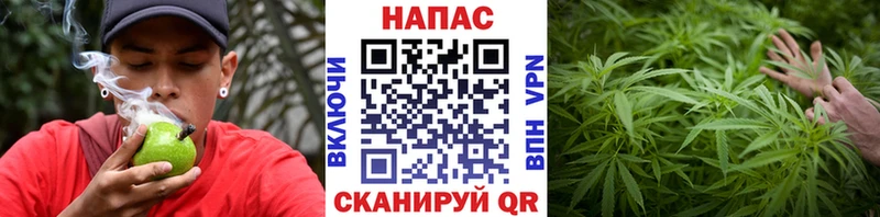Конопля VHQ  ссылка на мегу зеркало  Протвино 